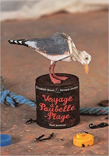 voyage-a-poubelle-plage