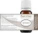 Myrrh Essential Oil 10 ml 100% Pure Undiluted Therapeutic Grade.