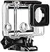 GoPro Standard Housing (HERO4, HERO3) (GoPro Official Mount), Clear