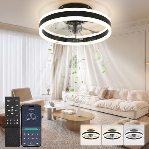 Nalezuns Ceiling Fan with Lights, Reversible Remote, 6 Speeds Modern Bedroom Fan Light, Quiet Dimmable Small Ceiling Light for Living Room, Black, 40cm