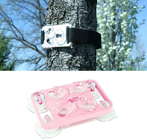 Universal Smartphone Suction Cup Mount Combo Pack for Indoor/Outdoor Photos by Cellfy