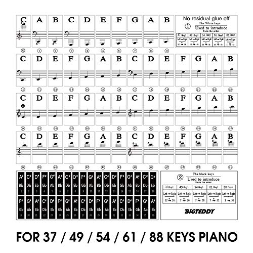 BIGTEDDY - Piano Stickers for 37/49/54/61/88 Key Keyboards - Tranparent Removable Labels for Kids Beginner Learning Music Note Suitable all Brands - Thumbnail 7