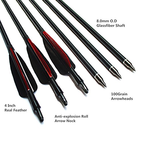 image for Letszhu Fiberglass Archery Shaft Arrows Real Feathers with Replaceable