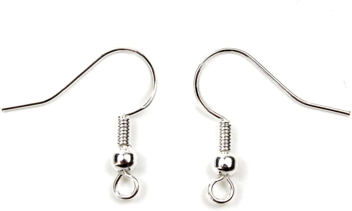 Earring Hooks Silver Plated | Earwire Jewelry Making Findings | 25 Pairs | Fish Hook DIY Wires Crafting Blank