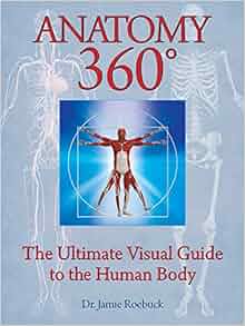 Anatomy 360 The Ultimate Visual Guide To The Human Body