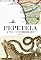 Livro A Sul. O Sombreiro