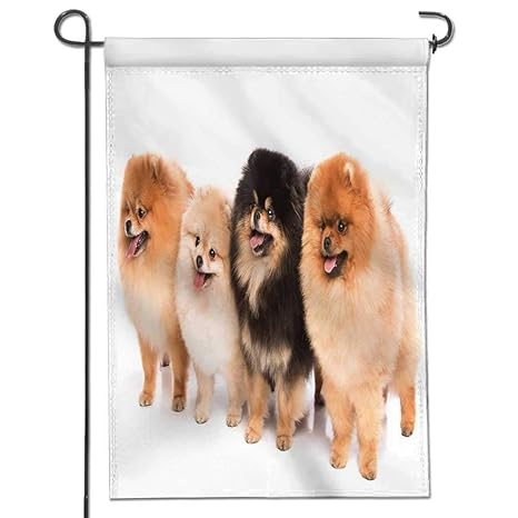 Amazoncom Jiahonghome Patriotic Garden Flag Double Sided