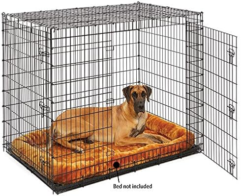 midwest 54 inch dog crate