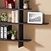 Danya B. Modern Home and Office Decor - Decorative Floating Wall Mount Asymmetric Display Shelves (Black)