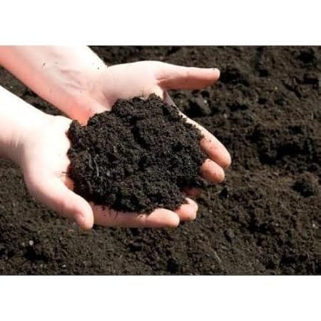Creative Farmer Cow Dung Nutrient Rich Mannure for Vegetable Garden Dried Powder (500 Gram)