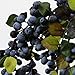 Rinlong 2Pcs Artificial Blueberries Fake Berries Stems Hanging Spray Frosted Blueberry Fall Floral Picks for Wreath Thanksgiving Decoration