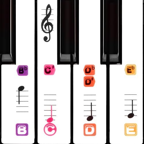 Piano Stickers for 49/61/76/88 Keys, Removable and Transparent, Double Layer Coating Color Keyboard Stickers for Kids and Beginners - TimberRain