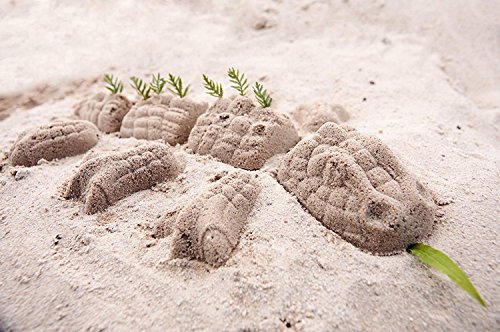 1 HABA+Sand+Monster+Piece+Mold