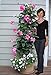 Frost Protek Tall Plant Cover -6' Tall -Drawstring Close -Garden Fabric for Protection and Insulation