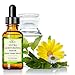 Tree of Life Hydrating Serum for Face w/Vitamin C to Bright & Silky Glow of Skin - 1 Fl Oz Ultra Hydration Serums - Moisturizing Facial Treatment for Anti Aging, Dry & Sensitive Skin