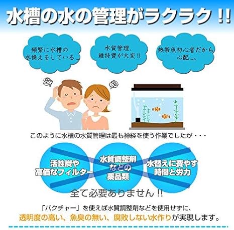 Amazon 水質浄化活性石バクチャー 淡水用 バクチャー 水質テスト 管理用品 通販