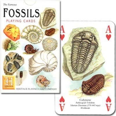 The fossil Trump [Imagine the Earth Ancient P0101] (japan import) by Nichiyu