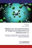 Image de Molecular characterization of Sugarcane (Saccharrum officinarum L.): Estimation of Genetic Diversity Among Sugarcane Genotypes Using Random Amplified