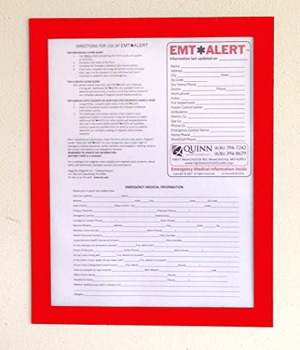 Lytle Products Pack of 3 Fridge-Lyt 8.5 x 11 Magnetic Document Frame and Sign Holder (Red)