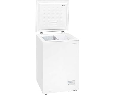 GGV GT 100 – 4 EA + + nevera, color blanco: Amazon.es: Grandes ...