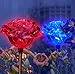 Lovely Brilliant Solar Rose Lights Rose Flowers Garden Stakes (Set of 2) with Exquisite Design