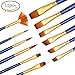 Dainayw Paint Brushes, Acrylic Paint Brush Set for Art Painting, Watercolor, Oil, Rock, Fabric, 12 Pieces