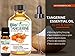 BioFinest Tangerine Oil - 100% Pure Tangerine Essential Oil - Soothe Oily Skin, Wrinkles and Scars- Premium Quality - Therapeutic Grade - Best For Aromatherapy - FREE E-Book (10ml)