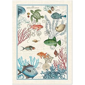 Michel Design Works Sea Life Cotton Kitchen Towel, Multicolor