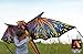 3D Nylon Dragon Kite with 80