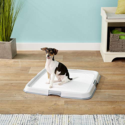 Dogit Puppy Pad Holder Tray, Training Pad Holder for Pee Pads for Dogs - //medicalbooks.filipinodoctors.org