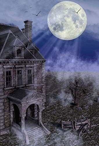 Amazon Yeele 6 X 9フィート ハロウィン 背景 写真撮影 幽霊 月が満ちた写真 背景 孤独 ホラーハウス 子供 男の子 ポートレート ブース 撮影 スタジオ 小道具 壁紙 バックペーパー 背景布 通販