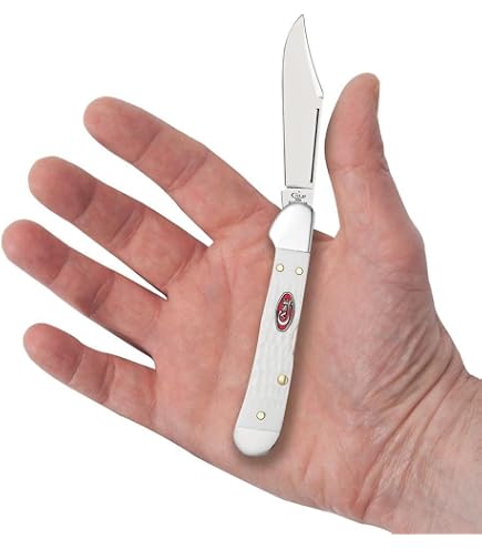 Amazon.com: Case XX WR Pocket Knife Slimline Trapper 4 1/8 inches