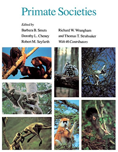 Primate Societies