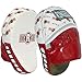 Ringside Apex Punch Mitts