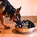 PetSafe Drinkwell Zen Stainless Steel Dog and Cat Water Fountain, Pet Drinking Fountain, 128 oz. Water Capacitythumb 4