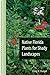 Native Florida Plants for Shady Landscapes by Craig N. Huegel