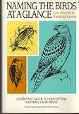 Naming the Birds at a Glance by 