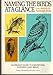 Naming the Birds at a Glance by 