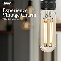 Feit Electric 40-Watt Equivalent T6 Dimmable