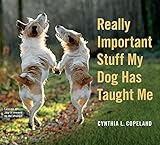 Really Important Stuff My Dog Has Taught Me Really Important Stuff My Dog Has Taught Me