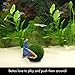 Luffy Betta Balls : Live Round-Shaped Marimo Plant : Natural Toys for Betta Fish : Aquarium Safethumb 1