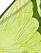 Green Fairy Wings