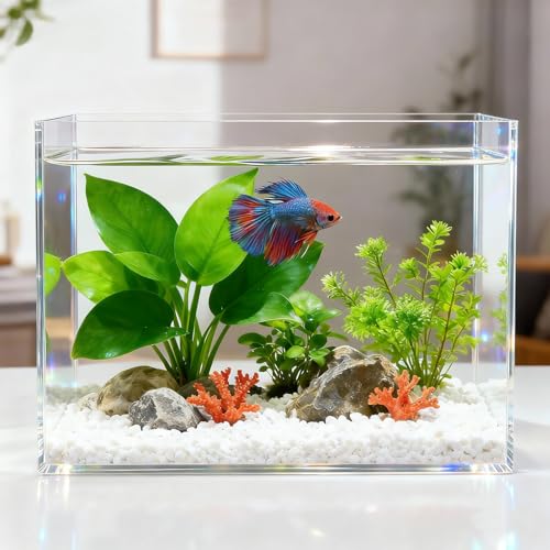 Ferrochef Acrylic Fish Tank