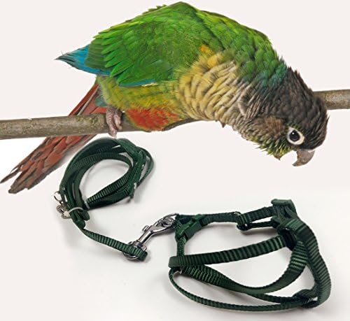 Crown Adjustable Parrot Bird Harness Leash Multicolor Light Soft Fashion (S, Purple)