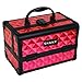 SHANY Chic Makeup Train Case Cosmetic Box Portable Makeup Case Cosmetics Beauty Organizer Jewelry storage with Locks, Multi trays Makeup Storage Box with Makeup Mirror - Ruby Red