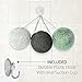 Konjac Sponge 3 Pack (black Green white), and Silicone Brush By Partie Naturals Activated Charcoal - Facial Sponge, 100% Natural Sponge Suction Hook Included