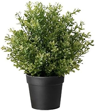 Amazon Com Ikea Artificial Potted Plant Thyme 9 5 Inch Home