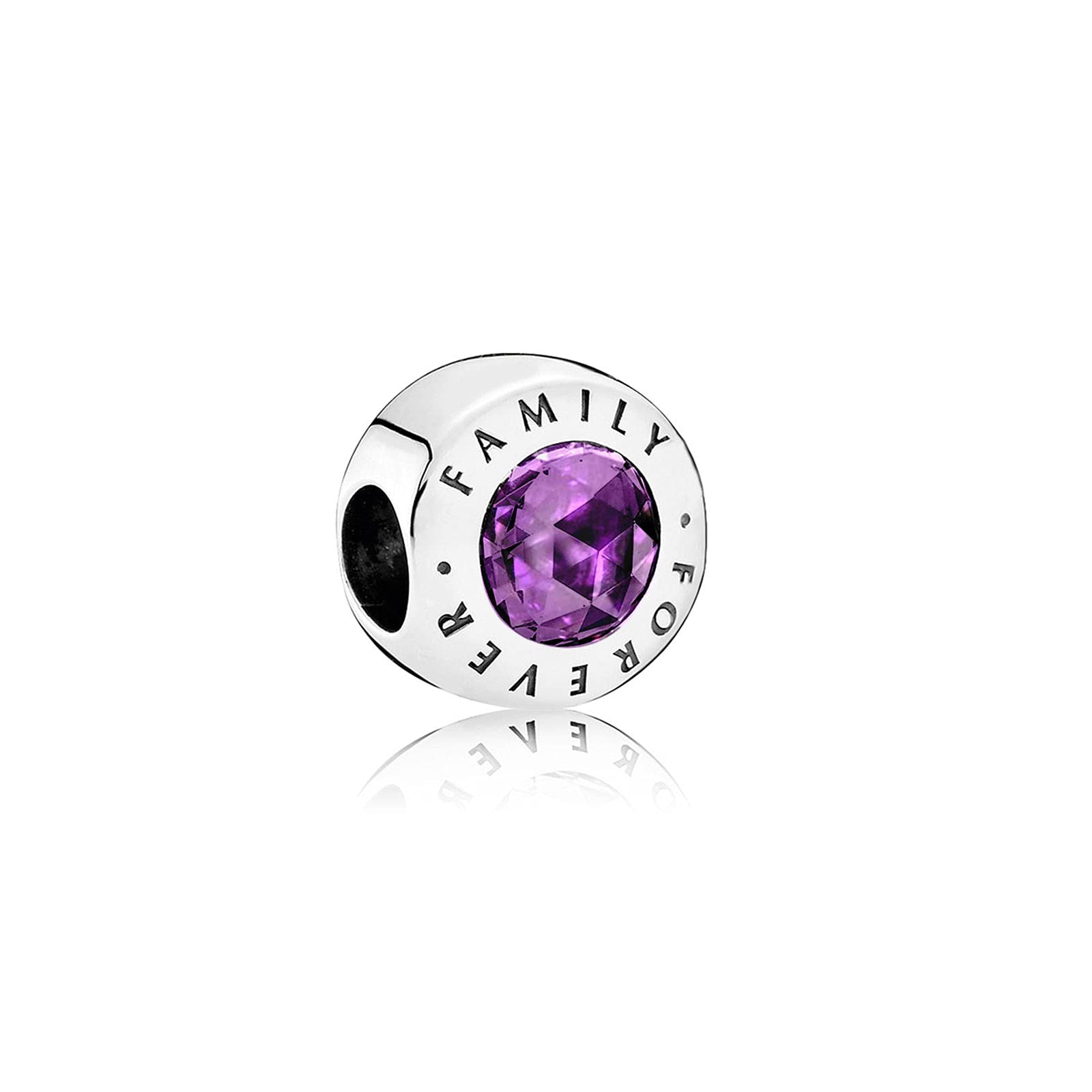 FGT Family Forever Purple Birthstone Bead Charm fit Pandora Bracelets Birthday Charms Gift for Women Sterling Silver Cubic Zirconia