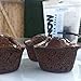 KNOW Foods Gluten Free Cupcakes, Low Carb, Paleo + Keto Friendly - 4 Count