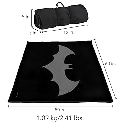 LOGOVISION Batman Picnic Outdoor